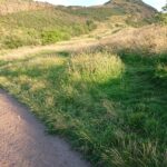 Arthurs seat pink route